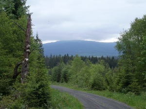2.6.2011 z údolí Křemelné