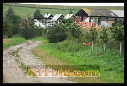 obrázek 942756