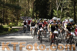 Foto 3536654
