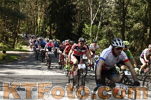 Foto 3536657