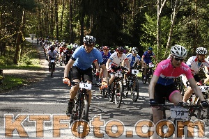 Foto 3536659