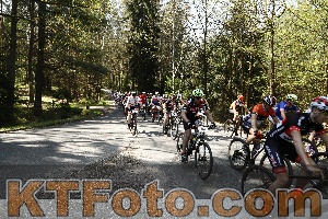 Foto 3536660