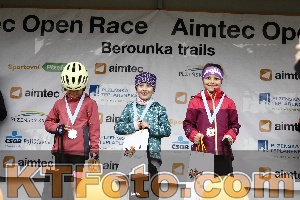 Photo 4233940