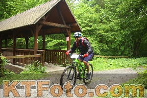 Photo 4237013
