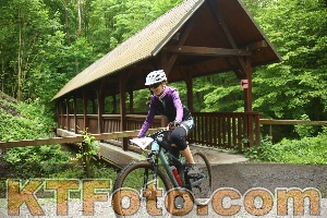 Photo 4237291
