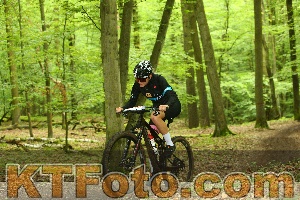 Photo 4235916