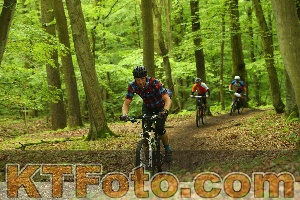 Photo 4236213