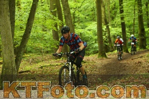 Photo 4236214