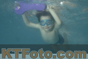 Foto 3784754