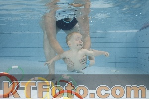 Foto 3786048