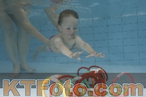 Foto 3786937