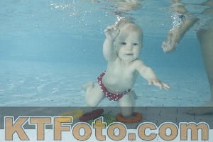 Foto 3733093