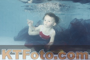 Foto 3733349