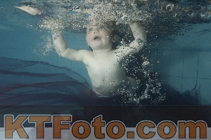 Foto 3733573
