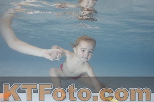 Foto 3853893
