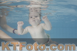 Foto 3858977