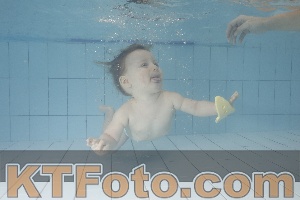 Foto 3858992