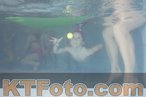 Foto 3862134