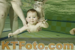 Photo 3878498