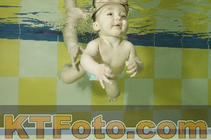 Photo 3878505