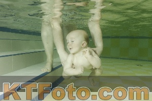 Photo 3878715