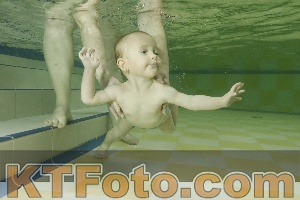 Photo 3878729