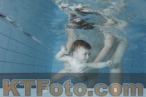Foto 3868676