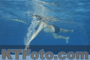 Foto 3863423