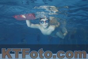 Foto 3864331