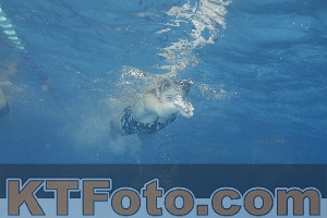 Foto 3864775