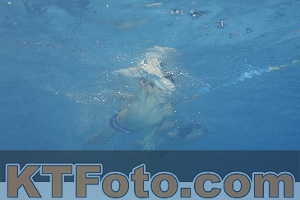 Foto 3864937