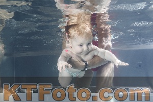 Photo 3878223