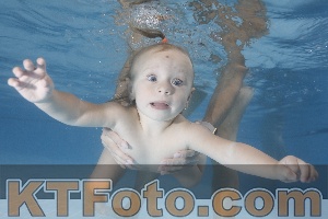 Foto 3943516
