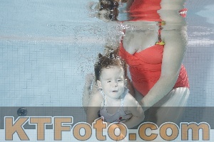 Foto 3977630