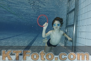 Foto 4024971