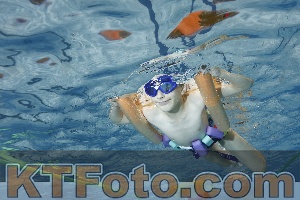 Foto 4026119