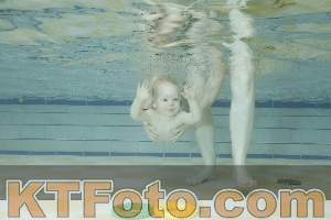 Photo 4115443