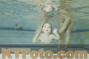 Photo 4115687