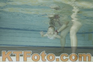 Photo 4115850