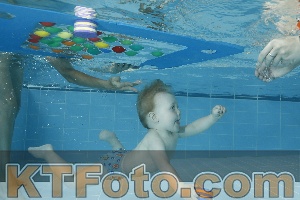Foto 4048961