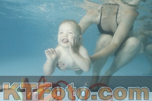 Foto 4054208