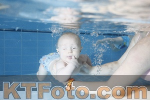 Photo 4116434