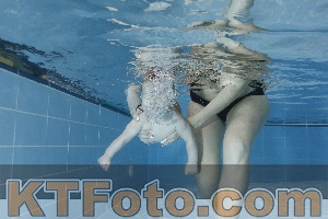Photo 4116447