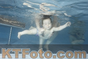 Photo 4117106