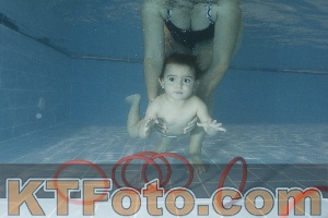 Photo 4117585