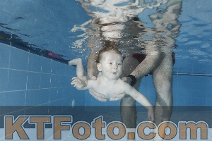 Photo 4118295
