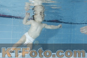 Photo 4118412
