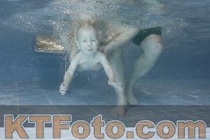 Photo 4118950