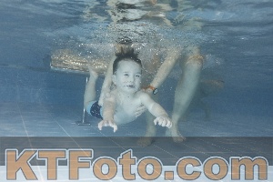 Photo 4119108