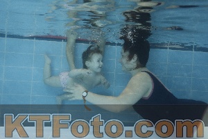 Photo 4120046